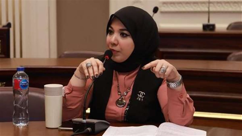 النائبة دينا هلالي