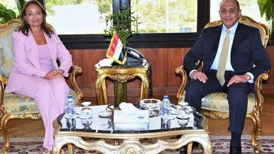 وزير الطيران يبحث سبل تعزيز التعاون في مجال النقل الجوي