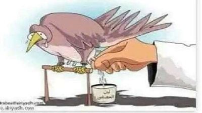 لبن العصفور .. حقيقة أم خيال