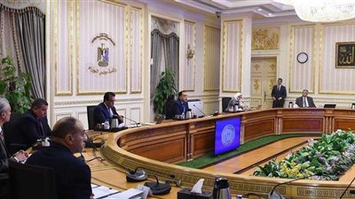 مدبولي لنقيب الأطباء: تكاتفنا معًا هو السبيل لتخطي هذه المحنة