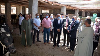 محافظ القليوبية يتفقد مزارع لإنتاج البتلو بمدينتي بنها وطوخ