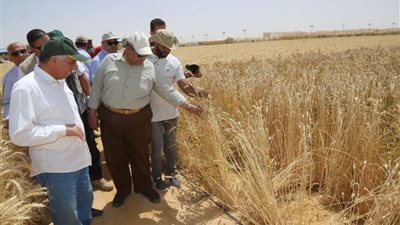 إبراهيم الشريدة يطالب بتخصيص مادة علمية عن الزراعة والابتكار