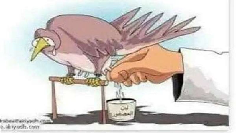 صورة ارشيفية