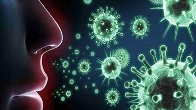 استقرار أعداد الوفيات بفيروس كورونا في أمريكا