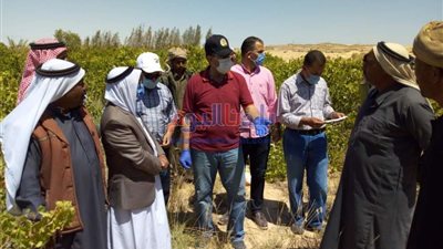 محافظ شمال سيناء يواصل جولته ويتفقد عدة مشروعات