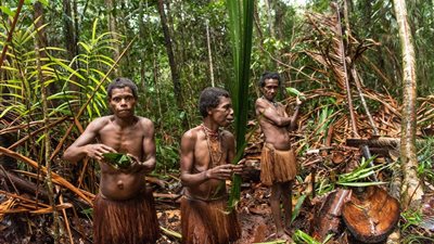 حكاية قبيلة 