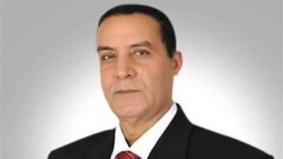 محمد الشهاوي: مصر تمتلك أحدث أجهزة الكشف عن المتفجرات.. فيديو