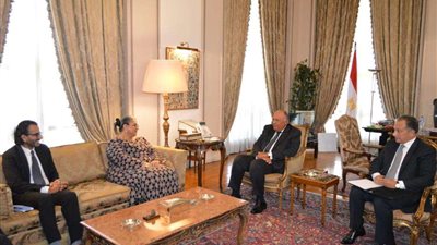 شكري يؤكد موقف مصر المتمسك بضرورة التوصل لاتفاق شامل حول سد النهضة