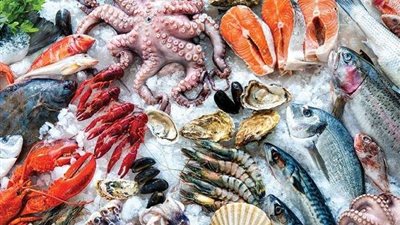 أسعار السمك اليوم 13سبتمبر 2022 فى مصر