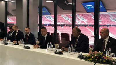 متحدث الخارجية عن تقرير هيومان رايتس ووتش: صادر من منظمة مشبوهة