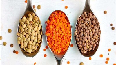 أصل الحكاية.. قصة المثل الشعبي 