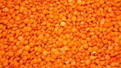 تعرف على المثل الذي ظلم صاحبه وأنقذ الجاني