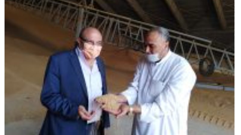 بلدنا اليوم