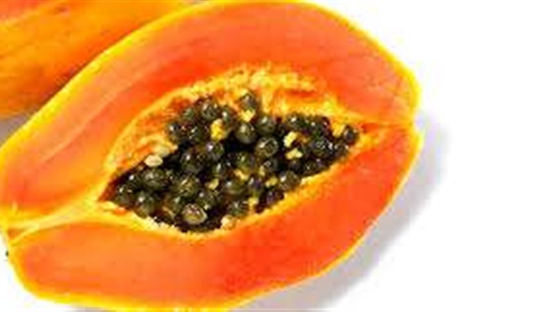 البابايا