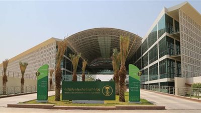 بـ9 شروط.. كيف تحصل المرأة على الدعم الريفي في السعودية؟