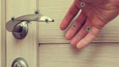 بكتيريا نادرة تضرب العالم من جديد وبؤرتها أستراليا