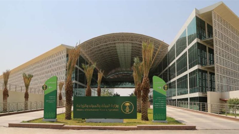 الدعم الريفي للمراة