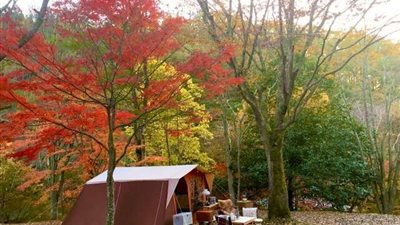 مها العطار تكشف عن أهم النصائح لتفادي اكتئاب فصل الخريف