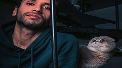 خالد السنعوسي يوضح فوائد تربية القطط في المنازل