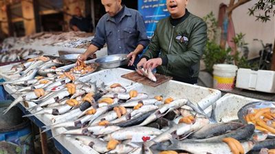 تعرف علي أسعار السمك اليوم الأحد 18 سبتمبر 2022 فى مصر