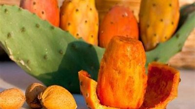 بنظام زراعي فريد .. أشجار التين في تونس تواجه شحّ المياه .. فيديو