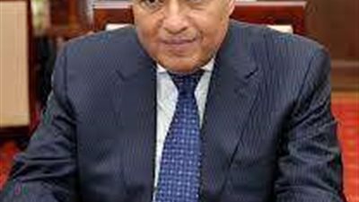 سامح شكري في لقاء هام مع نظيرة الهولندي.. تفاصيل