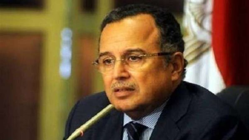 نبيل فهمى وزير الخارجية
