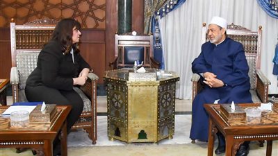 الطيب: حريصون على التوعية بوسطية الإسلام ونبذ التطرف في العالم