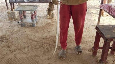 بالصور.. ردة فعل رجل تفاجأ بـ