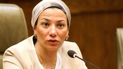 فؤاد: الملف البيئي شهد تحولاً حقيقيًا على المستويين المحلي والعالمي