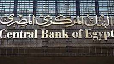 كيف تسهل قرارات البنك المركزي استيراد المواد الخام ؟  خبير مصرفي يجيب .. فيديو