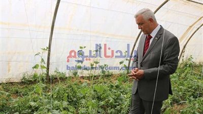 عميد زراعة عين شمس: مصر لم تعاني من أزمات في الخضروات منذ عام ونصف  (فيديو)