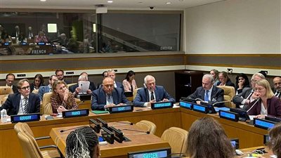 «شكري» يُشارك في الاجتماع الوزاري للجنة الاتصال لتنسيق المساعدات المقدمة للشعب الفلسطيني