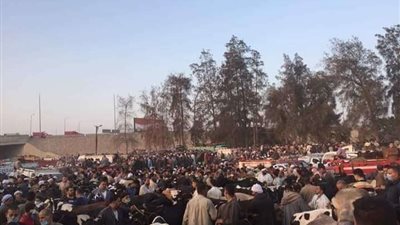 إقامة سوق المواشي في بنها.. ورئيس المدينة يتخذ إجراءات عاجلة