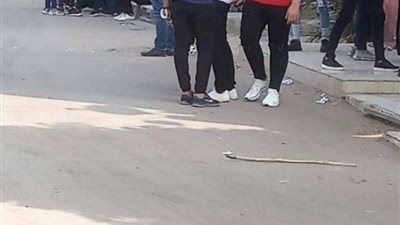 بالتفاصيل.. شروط وقواعد القبول في المدارس الثانوية الفنية للتمريض لعام 2020