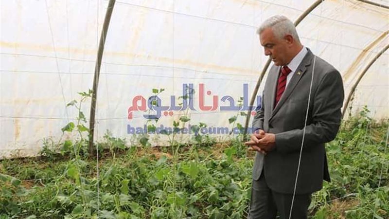 بلدنا اليوم