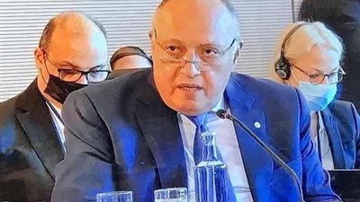 سامح شكري: مصر لا تتهاون في حق شعبها