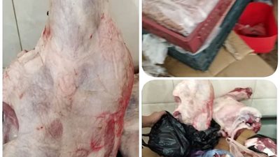 ضبط 75 كجم لحوم غير صالحة للإستهلاك الآدمي فى البحيرة