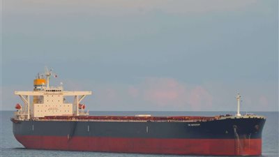 ميناء الإسكندرية: تزايد ملحوظ فى حركة السفن وتداول البضائع لشهر أغسطس الماضى