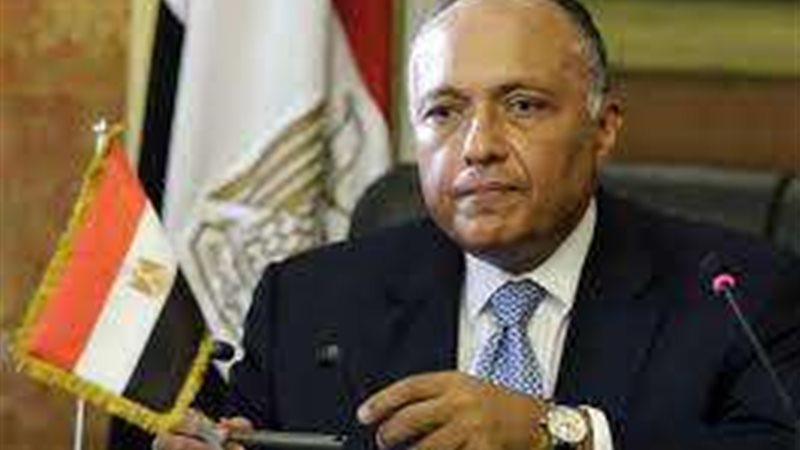 سامح شكري