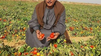 نقيب الفلاحين: الجهل بالقانون لا يعتبر عذرا