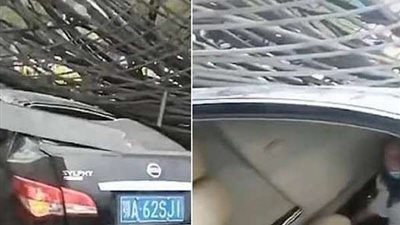 شاهد.. سقوط مرعب لرافعة عملاقة على سيارات.. وامرأة تستغيث: 