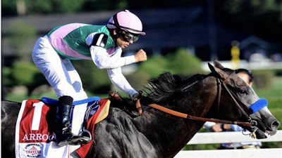 بسبب ركوب الخيل.. خليجية تخلع زوجها بعد زواجها