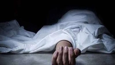 قلب ولدي على حجر.. مقتل مزارع على أيدي أبنائه في أسيوط