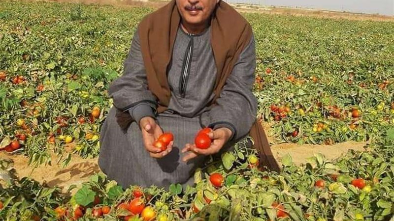 نقيب الفلاحين