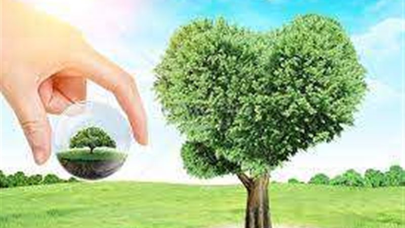 يوم التخضير 2022