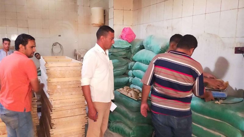 حملات تفتيشية