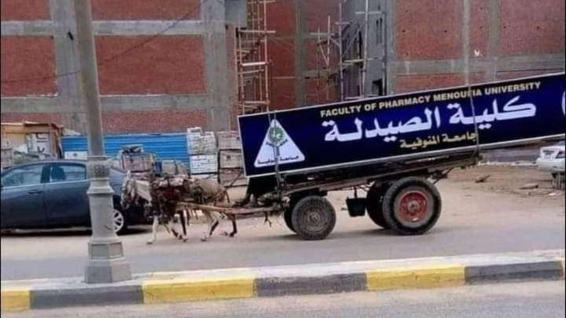 صيدلة المنوفية