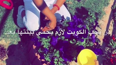 متى موعد يوم التخضير في الكويت؟