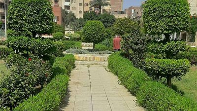 رفع مستوى النظافة والتجميل بشوارع بني سويف